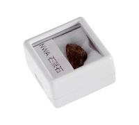 NULYLU Teaching Meteorite Specimen Irregular Stone Meteorite Ornament Unique Charming Creative Style with Box Packaging for Decoration and Classroom Teaching Aid