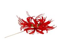 NULYLU Vintage Flower Hair Sticks Pins Retro Asian Traditional Hanfu Hair Chopsticks Forks for Women and Elegant Cultural Accessories for Special Occasions and Traditional Attire