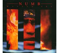 Numb - Wasted Sky