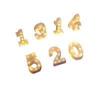 (Number 0) 22cm LED Light Up Numbers White 0-9 Wedding Birthday Party Battery Powered Lamp