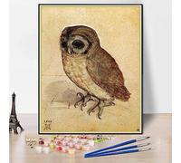 Number Painting for Adults The Little Owl Painting by Albrecht Durer DIY Oil Painting Paint by Number Kits