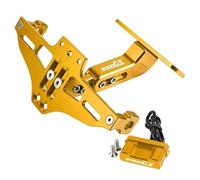 Number plate Accessories For BMW R1300GS R1300 GS R 1300 GS R 1300GS 2023 2024 Motorcycle CNC Accessores Rear License Plate Mount Holder(Glod)