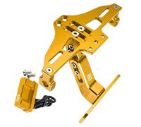 Number plate Accessories For H-ONDA CB650 CB 650 2018 2019 2020 2021 2022 2023 Motorcycle Accessores Rear License Plate Mount Holder(Gold)