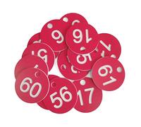 Number Tags 1-100 with Bright Colored Single Side Carved Keys 100pcs Labeling Dormitory for Tag Husbandry Suppl Label for Clothing Label with Holes
