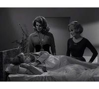 Number Twelve Looks Just Like You