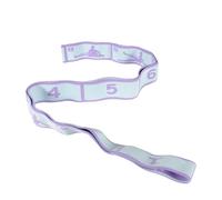 Numbered Yoga resistance band Stretch Band, Multi-Segment Exercise Band with TP Fabric, Flexibility Training Band for Dance & Fitness(White purple 8)