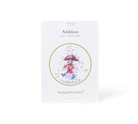 Numberella Mathematics Books - Addition, Level 2: Antonio - Level 2: 28 (Numberella Motivational Brain Training Books in Mathematics)