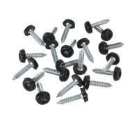 Numberplate Screw Plastic Enclosed Head 4.8 x 24mm Black Pack of 50 | PTNP7 Seal