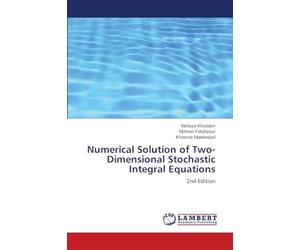 Numerical Solution of Two-Dimensional Stochastic Integral Equations: 2nd Edition