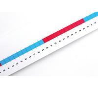Numicon: 0-100cm scale Number Line