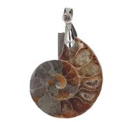 NUMNBE Ammonite Shell Pendant, Handcrafted Vintage Ammonite Jewelry, Natural - Unique Art Design, Luck and Happiness, Gift for Ocean Lovers and Collectors