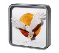 Numskull Official Hedwig Acrylic Logo Desk Lamp Wall Light for Bedroom, Office, Home, Study, Work - Official Harry Potter Merchandise