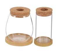 NUOBESTY 2pcs Corked Borosilicate Glass Hydroponic Planter Vases with Wide Opening and Tray Transparent Propagation Tubes for Succulents Air Plants Mini Gardens Easy Watering and Surface