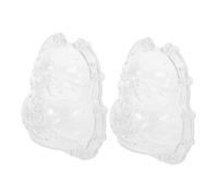 NUOBESTY 2pcs Transparent Ginseng Fruit Growing Melon Molds Small Buddha Shaping Accessories for Garden Vegetables Compact Lightweight