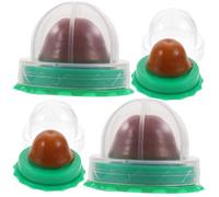 NUOBESTY 4PCS Natural Catnip Lollipop Pack Edible Kitten Treats for Tongue Exercise and Molar Chew Safe Cat Candy Snacks for Indoor Play and Calming Fun