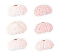 NUOBESTY 6pcs Lovely Shell Conch Planter White Succulent Planter for Plants