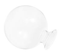 NUOBESTY Avocado Seed Starter Vase Glass Hydroponic Vase Stable Glass Material Table Centerpiece Decoration Growing Water Plant Minimalist Contemporary Appearance Suitable for Office