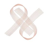 NUOBESTY Ballet Pointes Shoes Elastic Bands Pink 2pcs with Invisible Design and Secure Fit Elastic Rubber Ribbon Ballet Shoe Accessories for Women for Dance Performances and Training