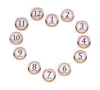 NUOBESTY First Year Milestone Stickers for Scrapbook Neonatal Month Birth Countdown Photo Decor