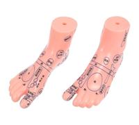 NUOBESTY Foot Massage Model Pair for Reflexology Teaching PVC Sturdy Foot Display Model for Nursing and Health Education Training