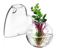 NUOBESTY High Borosilicate Glass Wall Vase with Hanging Propagation Station, 10Cm Semi-Circle Terrarium Planter for Indoor Plants, Includes Crystal Mud and Non-Marking Nail Set for Wall