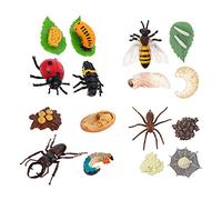 NUOBESTY Kids Cognitive Toys 4-Pack Insect Life Cycle Models Educational Bug Growth Cycle Figurines for Toddlers Learning and Play