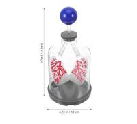 NUOBESTY Lung Function Demonstration Model, Breathing Simulation Human Body Organs For Biology Teaching, Shows Lung & Diaphragm Air Flow & Muscle Function