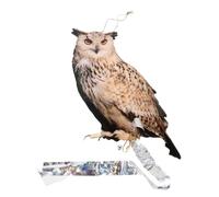 NUOBESTY Realistic Owl-shaped Acrylic Reflectors for Garden and Outdoor Use with Continuous Reflective Benefits to Keep Unwanted Animals Away, Easy to Install No Electricity or Batteries
