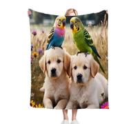 Nuphtun Flannel Blanket Thick 150 x 200 White Dog, Throw Blanket 150x200 cm | Double Bed Size, Machine Washable, Ideal as a Duvet Topper or Large Couch Throw, Perfect for Sharing Warmth M178-