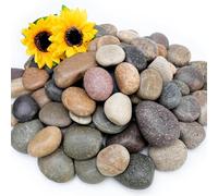 Nupick 30lb Mexican Beach Pebbles, 2-3" Large River Rocks for Landscaping, Smooth Garden Rocks for Outdoor Paving, Natural Pebbles for Indoor Plants, Decorative Stones for Planters, Fish Tank, Fountai