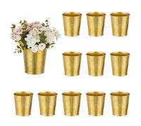 NUPTIO Small Rustic Plant Pots: 12 Pcs 13cm Galvanized Metal Gold Planter for Home Garden Table Decor - Mini Shabby Chic Flower Vase Trumpet Vases Centrepiece for Wedding Party