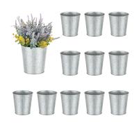 NUPTIO Small Rustic Plant Pots: 12 Pcs 13cm Galvanized Metal Silver Planter for Home Garden Table Decor - Mini Shabby Chic Flower Vase Trumpet Vases Centrepiece for Wedding Party