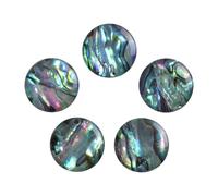 Nupuyai 5pcs Round Cabochons for Jewelry Making, Round Shape Flatback Stone for DIY Charms, Abalone Shell, 14x14mm