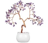 Nupuyai Amethyst Crystal Money Tree with Ceramic Base, Good Luck Healing Stone Feng Shui Bonsai Gem Tree Spiritual Ornament for Home Office Decor, 20-24cm