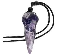 Nupuyai Amethyst Skull Carving Crystal Stone Pendant Necklace for Men Women, Natural Carved Stone Raven Skull Jewellery with Adjustable Cord