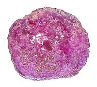 Nupuyai Angel Aura Quartz Geode Stone, Titanium Coated Natural Rock Crystal Cluster Specimen for Reiki Healing Home Decor 100-200g, Fushcia