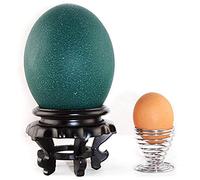 Nurnesy Ostrich Egg Display Stand, Carving Crafts, Ostrich Egg Tray Base Bottom,Ornament for Homes or Offices,High Stability (Black)
