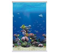 Nursery/Kitchens/Bedroom Blackout Roller Shades Window Blinds with A Pretty Sea World View - 60cm/ 80cm/ 100cm/ 120cm/140cm Wide (Size : 120x120cm)