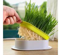 Nursery Pet Plant Planting Box for Indoor Creative Cat Grass Planter with Sink Cat Grass Growing Kit Hydroponic Catnip Wheatgrass Seed Sprout Tray