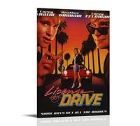 NURSHARLRA License to Drive Poster Room Decor Artistic Poster for Room Aesthetic Canvas Wall Art Bedroom Decor 12x18inch(30x45cm) Frame-style