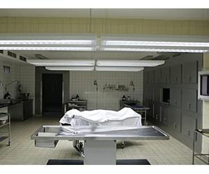 Nursing Home Nightmare, The Wailing Walls and Terror in Black and White