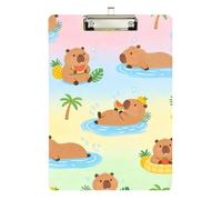 Nursing Medical clipboard Summer Cute Capy Standard Hole for Football Softball Coaching Size 9 x 12.5 Tabla para escribir con Clip