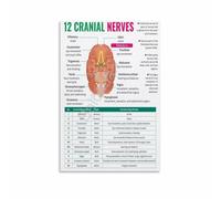 Nursing Student Guide 12 Cranial Nerves Anatomy Educational Wall-Art for Dorm Room Study Decor(Framed,12x18inch(30x45cm))