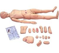 Nursing Training Dummy, Life-Size Anatomical Model for Education and Skills Development