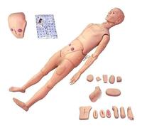 Nursing Training Manikin, Patient Care Simulator for Educational Teaching and Research, 175cm, Geriatric Human Mannequin for Skills Development