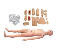 NursingManikin MedicalMannequin Full Body Demonstration Human Manikin Life Size 170 cm Education Teaching Model PVC