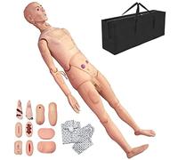 NursingModel Manikin Model at School of Nursing Patient Care Manikin Patient Care Simulator Male And Female Nursing