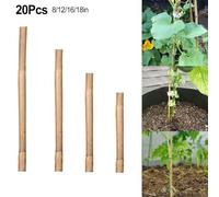Nurture Your Plants with These 20pcs Natural Plant Support Stakes Designed for Stability and Growth (8in)