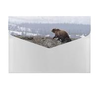 Nurturing Brown Bear Cubs Multi-Pocket File Organizer, Expanding Accordion Folder for Portable Document Storage