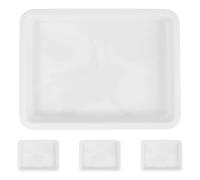 NUSITOU 4pcs Laboratory Trays Set 24.6x18.5x2.7cm Plastic Storage Pans Acid and Alkali Resistant Spill Containment Trays for Chemical Experiments and Teaching Use